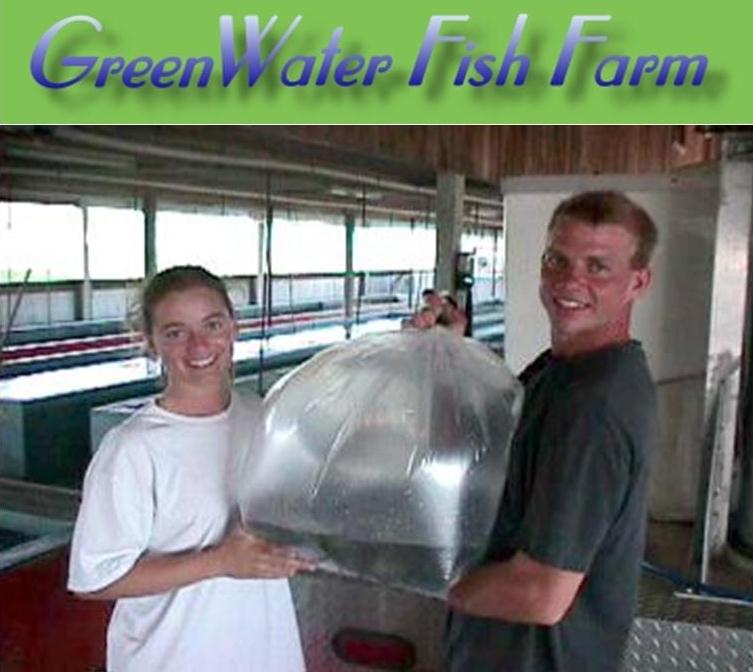 GreenWater Fish Farm